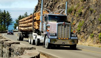 A load of logs being transported to the sawmill.